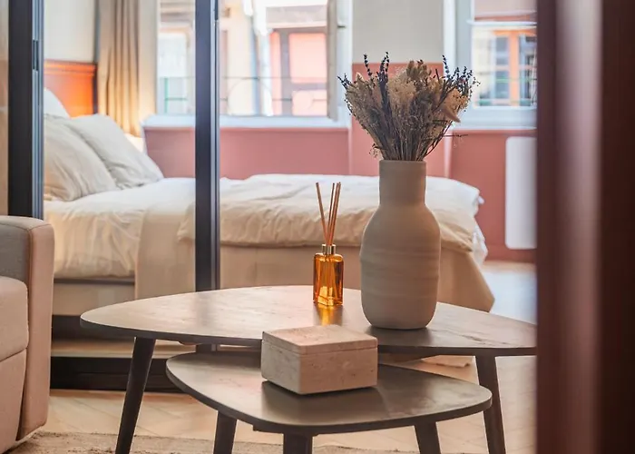 Apartamento Cosy T2 Grand'rue Estrasburgo